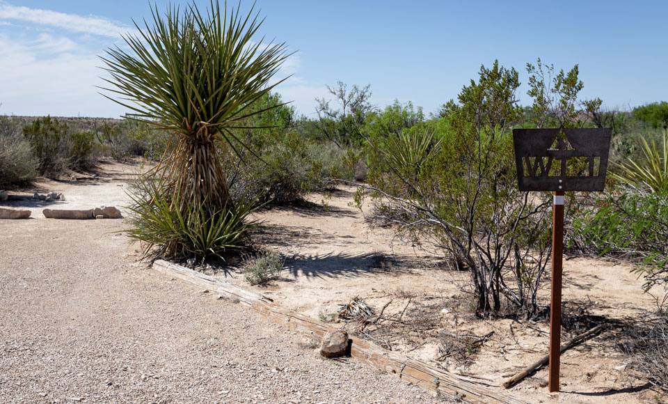 Willow Tank Primitive Campsite