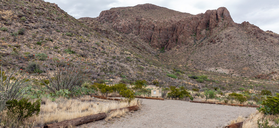 Pine Canyon 1 Campsite