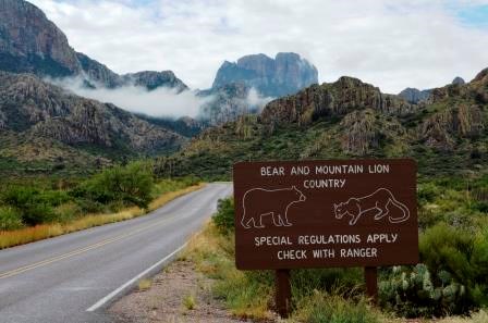 The Chisos Mountains Road
