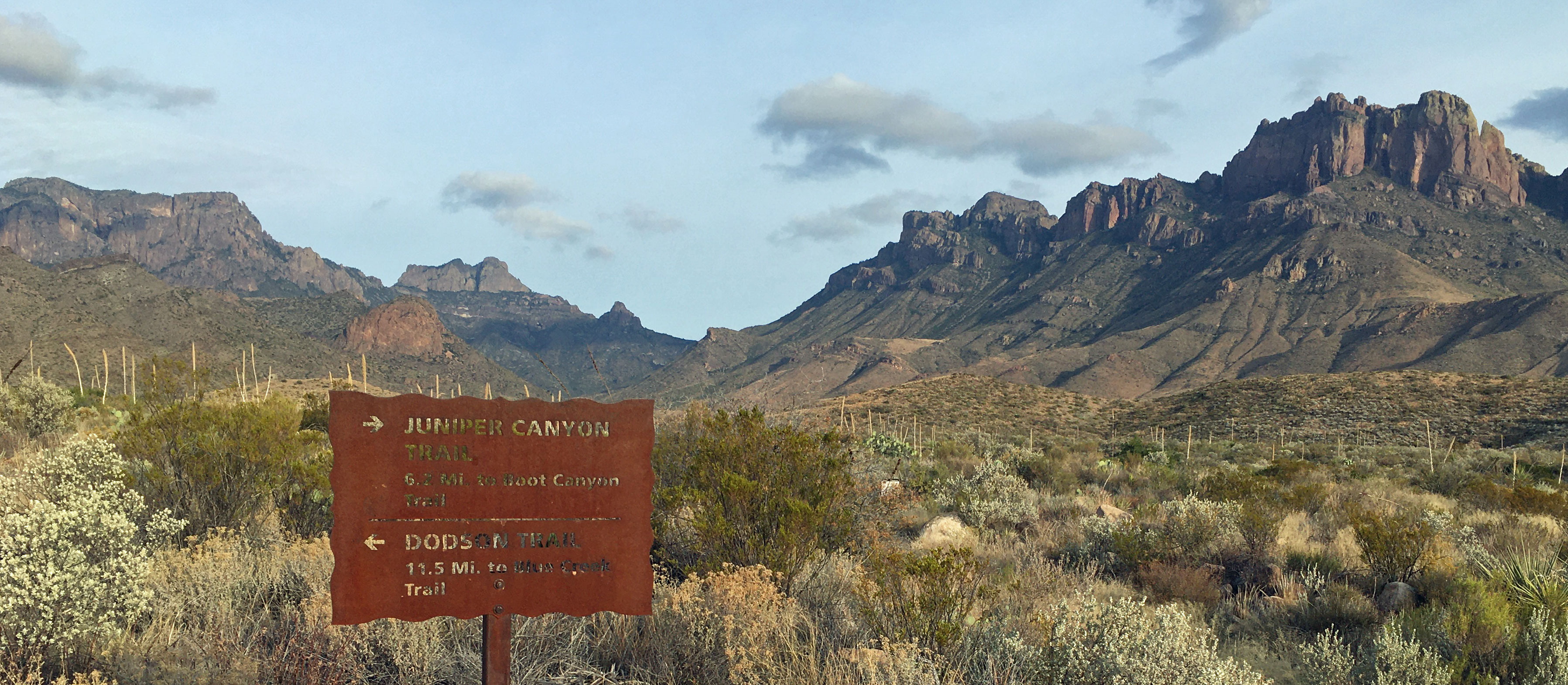 Trail Junction along the OML