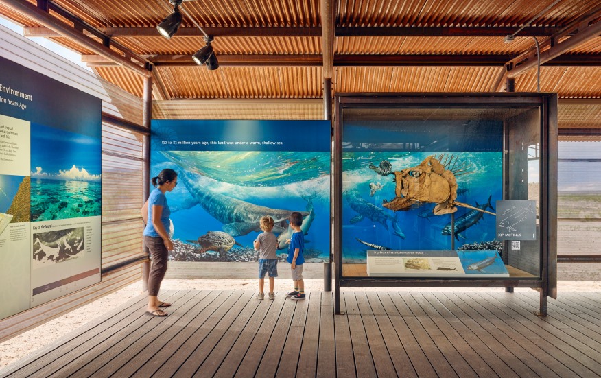 The Marine Environment exhibit at the Fossil Discovery Exhibit.