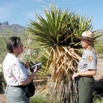 Answering questions about yucca