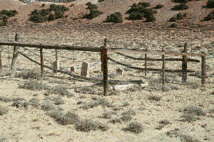 Graves of Frank Sykes and family