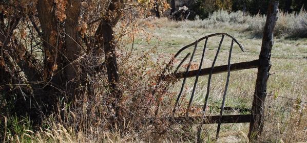 The Old Gate at the Lockhart Ranch