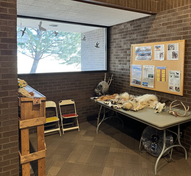 Small alcove with a bulletin board, a table with pelts, two chairs, and a wasp nest on a branch.