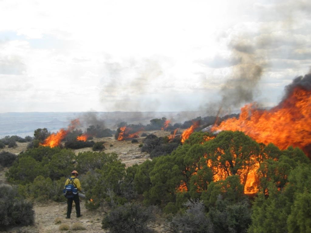 Bighorn Canyon personnel works on a prescribed fire to restore Bighorn Sheep habitat
