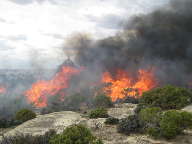 Fire is a powerful tool used at Bighorn Canyon for habitat restoration