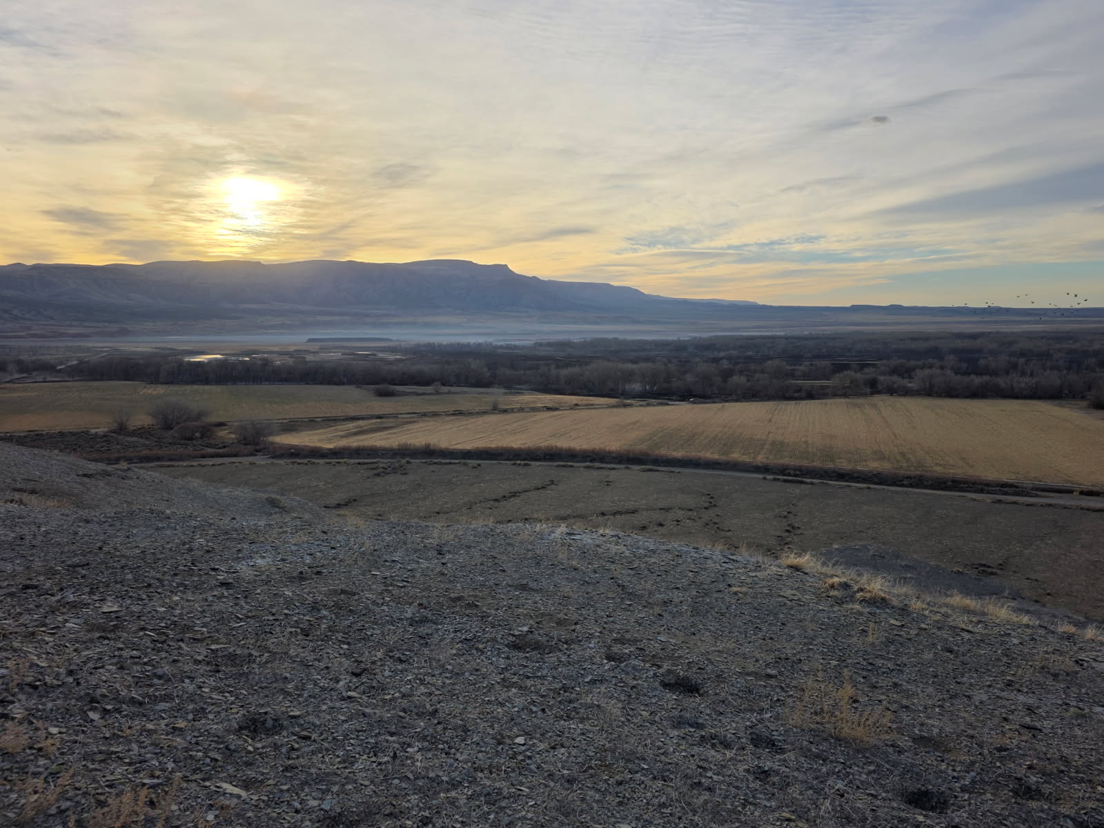 An overhead view of an unburned field before the burned area of the Yellowtail Wildlife Habitat Management Area. Mountains and the sun in the background.