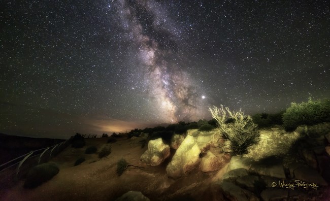 starry night in the desert