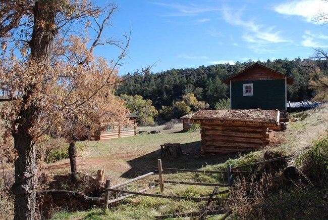 A tree with brown leaves and a lopsided wooden fence in the foreground. A log cabin and green house at the base of a grassy hill across from another log cabin with green shutters with green trees in the background.