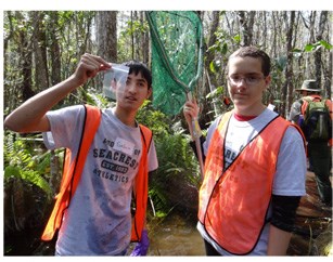 Dragonfly-Bulletin-Board-B