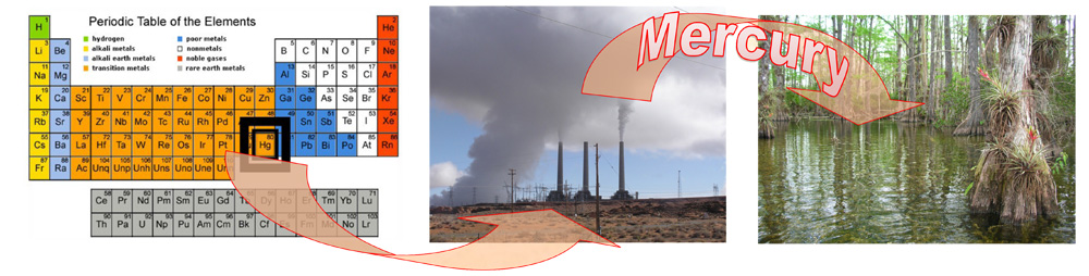 Dragonfly-Bulletin-Board-B