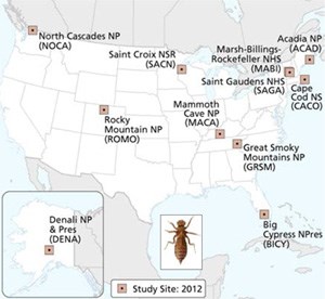 DragonflyMercury_Brief_May2013-1