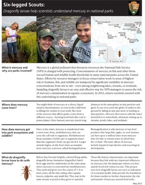 DragonflyMercury_Brief_May2013-1