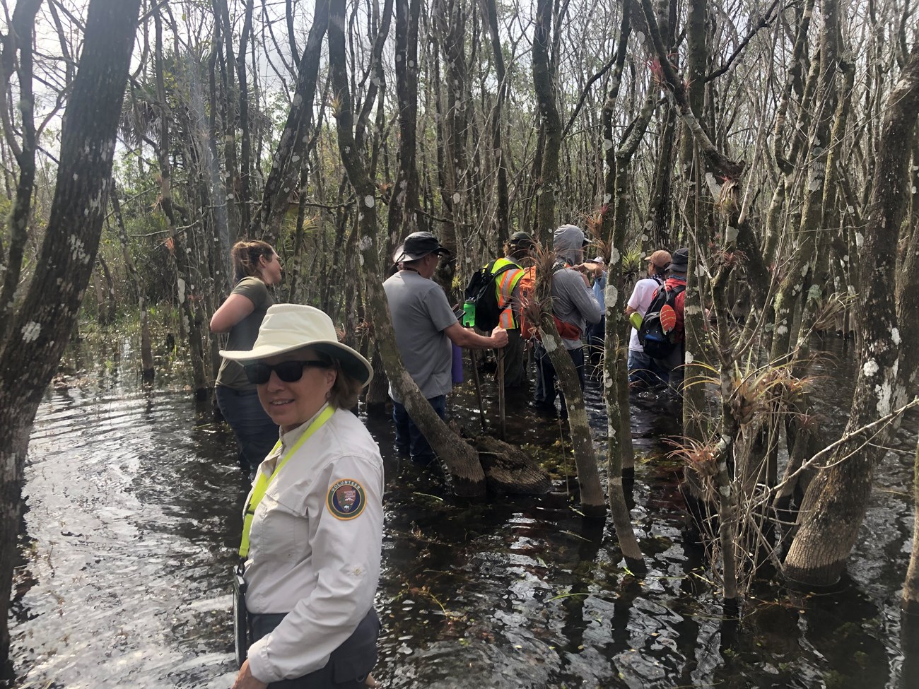 SallyHowlettSwampWalk2