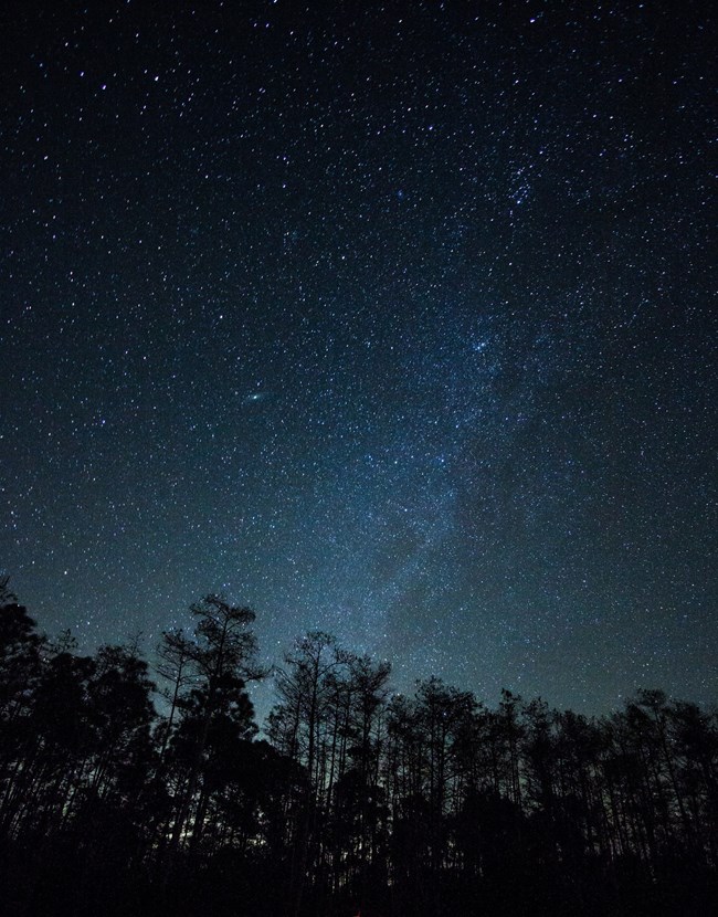 Calendar - Big Cypress National Preserve (U.S. National Park Service)