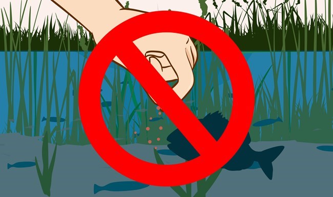 EVER_NO-FEEDING_V1_1