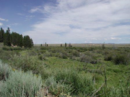 Sagebrush landscape near park visitor center