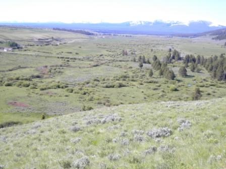 A grassy hillside with the mountains in the background.