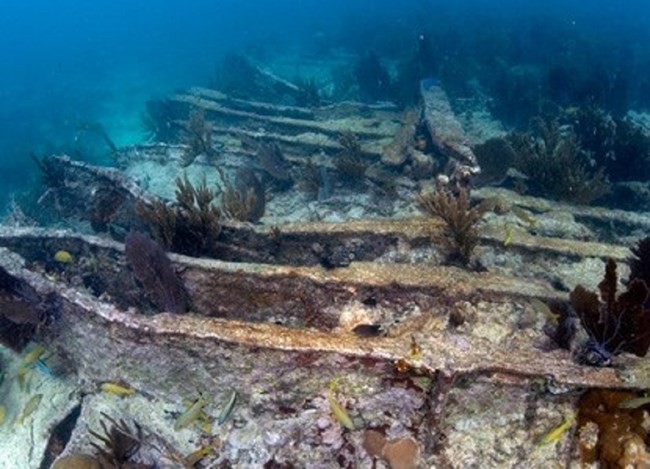 The steel skeleton of a ship rests on the ocean floor