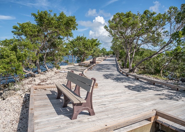 A wooden boardwalk with wooden curbs on both sides. On the left, a widened portoin of the trail accomodates a bench, which overlooks the waterfront. The boardwalk is lined with small trees, and water can bee seen beyond the trees on the left side.