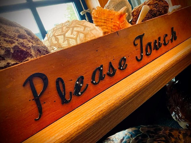 Please touch in raised black letters on a wooden box filled with items from the ocean