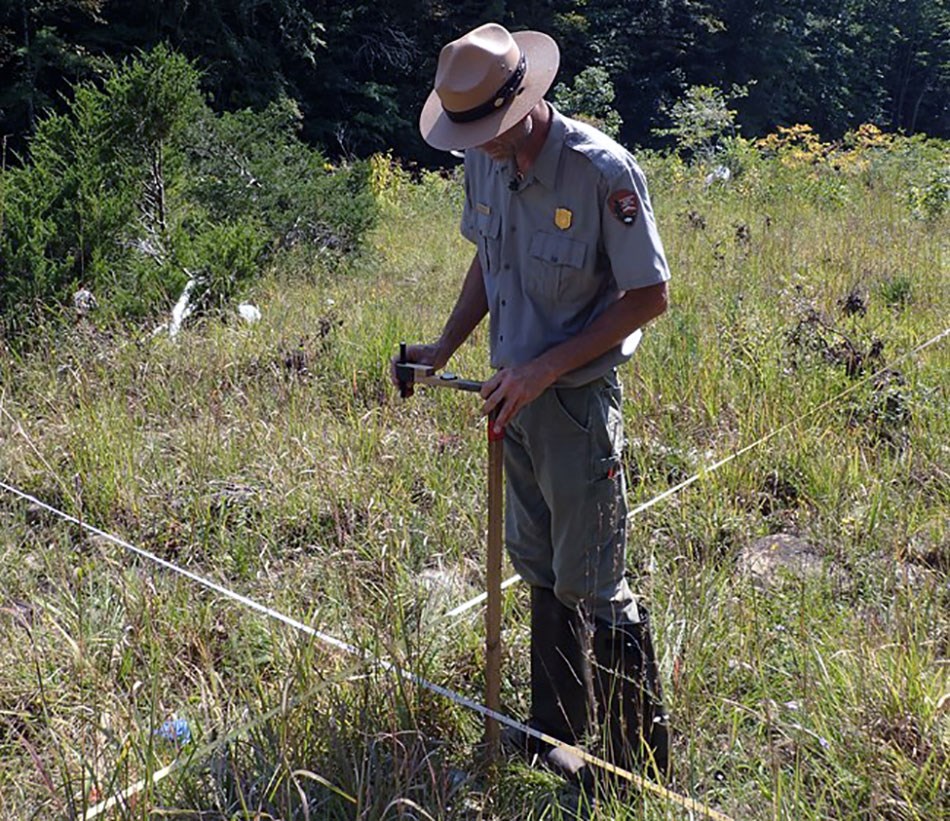 Park biologist inventorying plants on a cobble bar