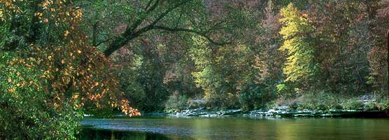 Fall colors at mouth for Station Camp