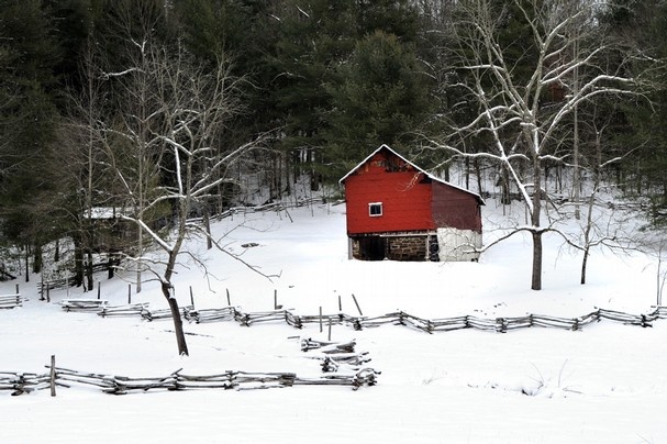 Red cabin on old farmstead at Big South Fork