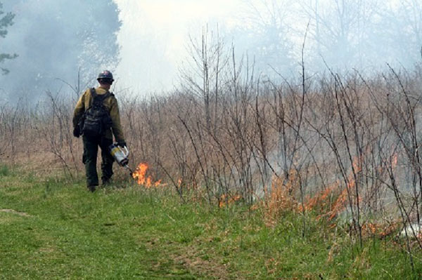 Firefighter participating in prescribed fires