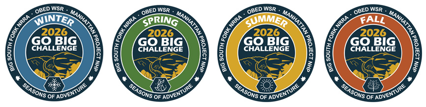 4 circle graphics that represent the four seasons.