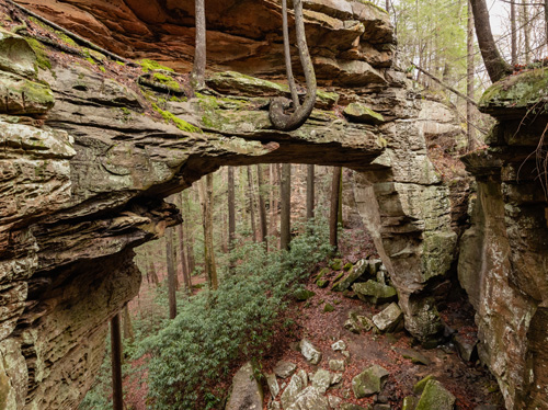 split bow rock arch