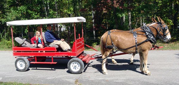 Wagon riders on O&W Road