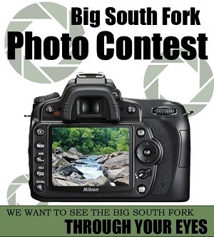 BISO photo contest