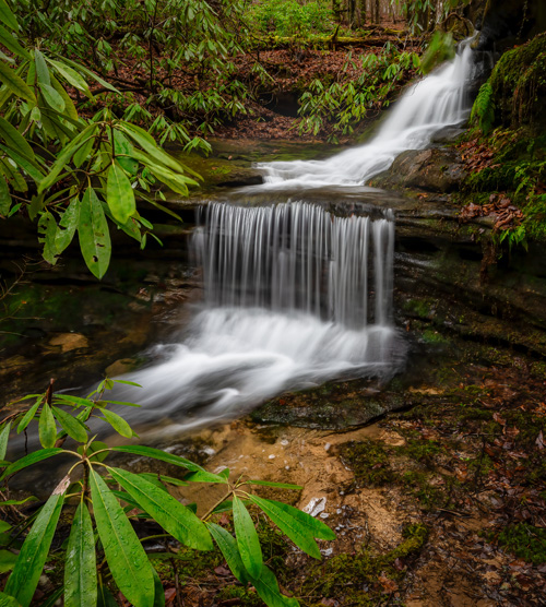 waterfall in the woods