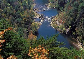 Big South Fork River from the East Rim Overlook.