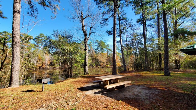 a brown picnic table situated next to tall trees near a wide waterway in fall.
