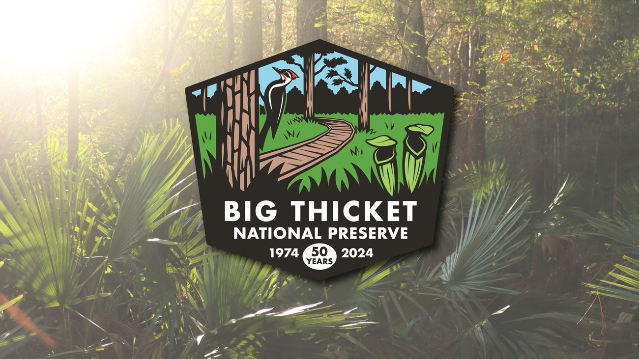 an illustration of a pileated woodpecker perched on a pine tree; a wooden boardwalk curving into a meadow; 2 pitcher plants with open funnels; and text that reads "Big Thicket National Preserve: 50 years, 1974-2024." Background shows palmettos.