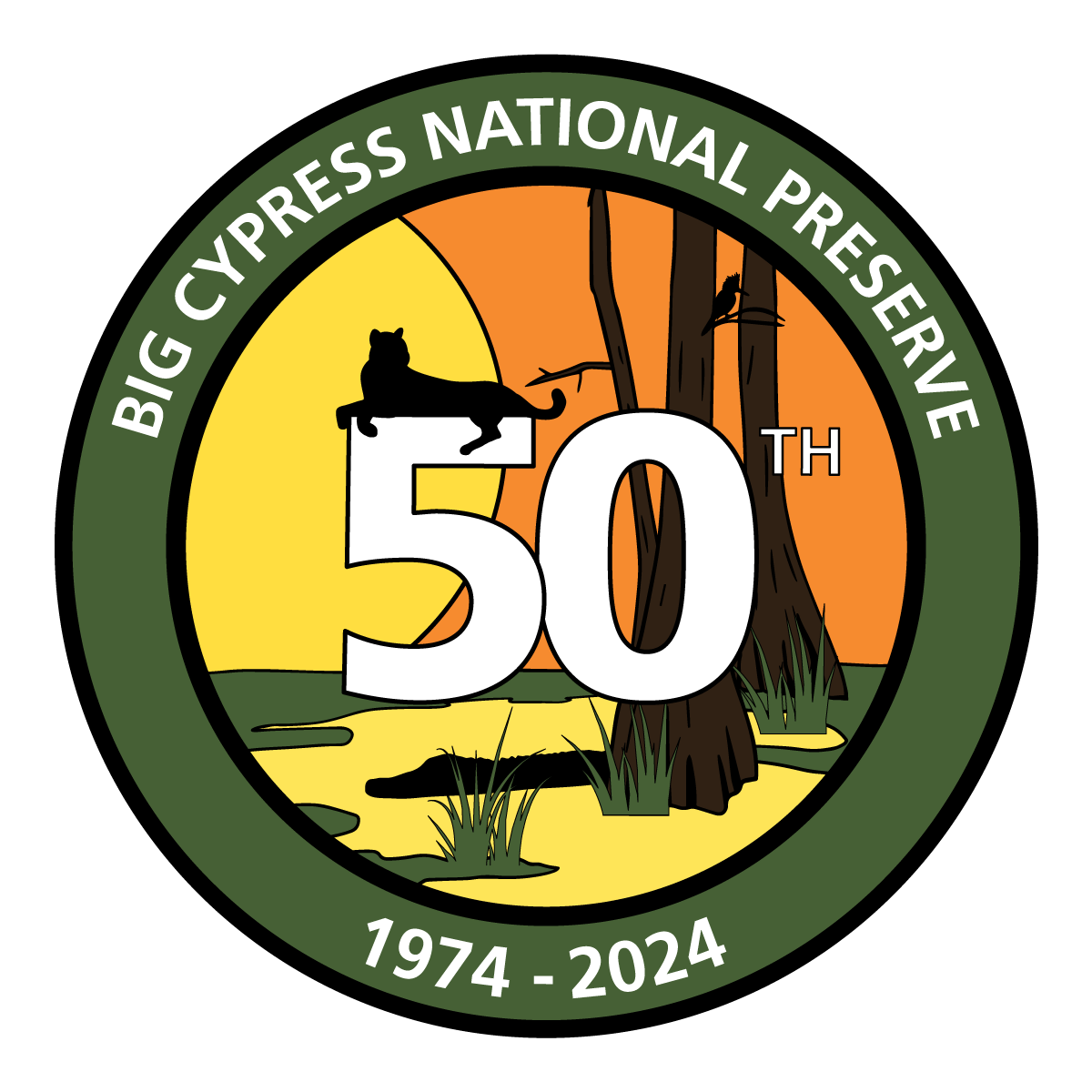 round logo with a green border and text that reads "Big Cypress National Preserve 1974-2024". Inside the logo is a big "50th" and a Florida panther resting atop the number 5. A big sun sets behind bald cypress and a kingfisher in the background.