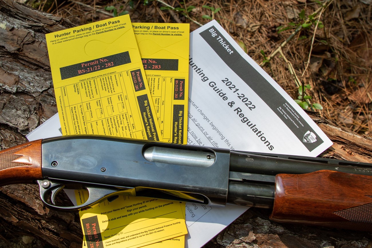 Close-up of a shotgun laying on top of 2 yellow Big Thicket hunting permits and an information packet, on a background of pine needles and wood.