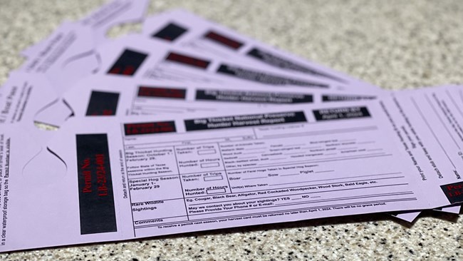 Several purple hunting permits laid out on a countertop. Text is out of focus but you can see boxes for inputting numbers of hours hunted, number of hunting trips, and animals harvested.