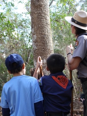ranger and children looking at woodpecker holes in a tree