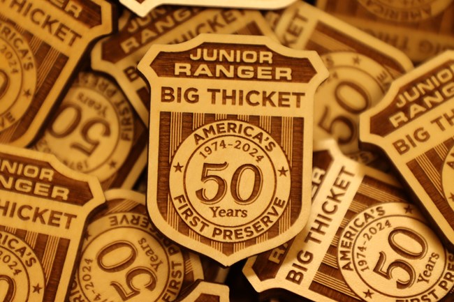 A pile of wooden Junior Ranger 50th Anniversary Big thicket Badges