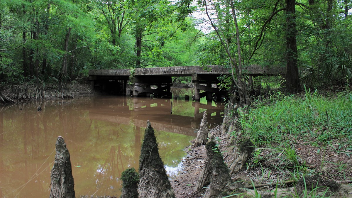 Lance Rosier Unit - Big Thicket National Preserve (U.S. National Park