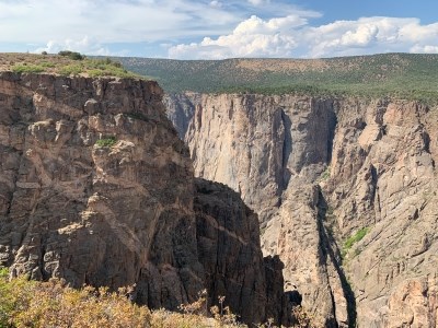 Deep canyon with brown and lighter colored walls. Green foliage is on the canyon rim above.