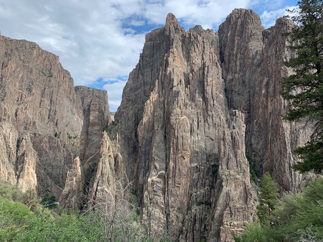 Rock pillars within a canyon with vegetation in the foreground