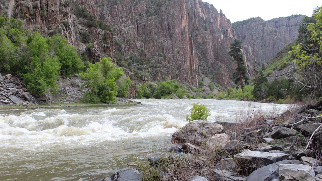 A turbulent river with white rapids runs through a steep canyon. Trees and green shrubs are on the riverbank. Small rocks are in the foreground.