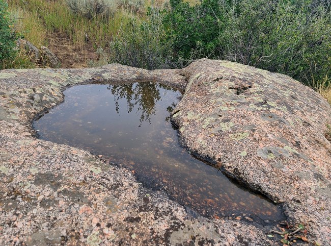 A "L" shaped pothole with shallow water filling it. The rock is multicolored and covered with lichen. Green vegetation is in the background.