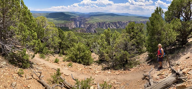 woman hiking on a tree-lined trail with a broad view of a distant canyon