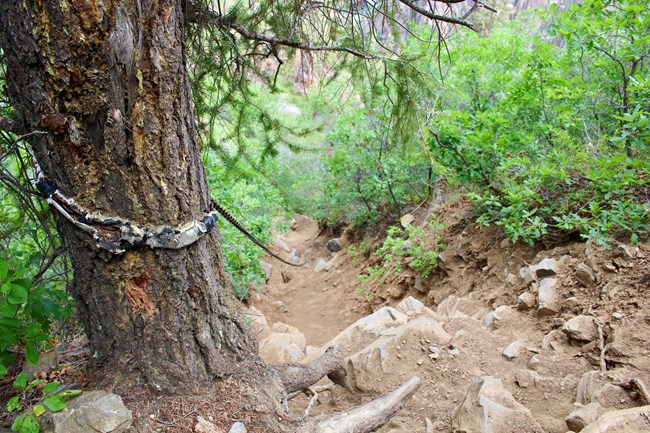 A steep descent with a chain leading down attached to a tree